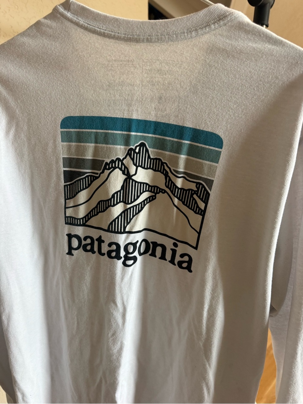 Patagonia Men’s Long-Sleeve Graphic Tee in Light Gray